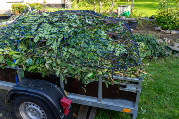 Best Estate Cleanout  in Ller, WA